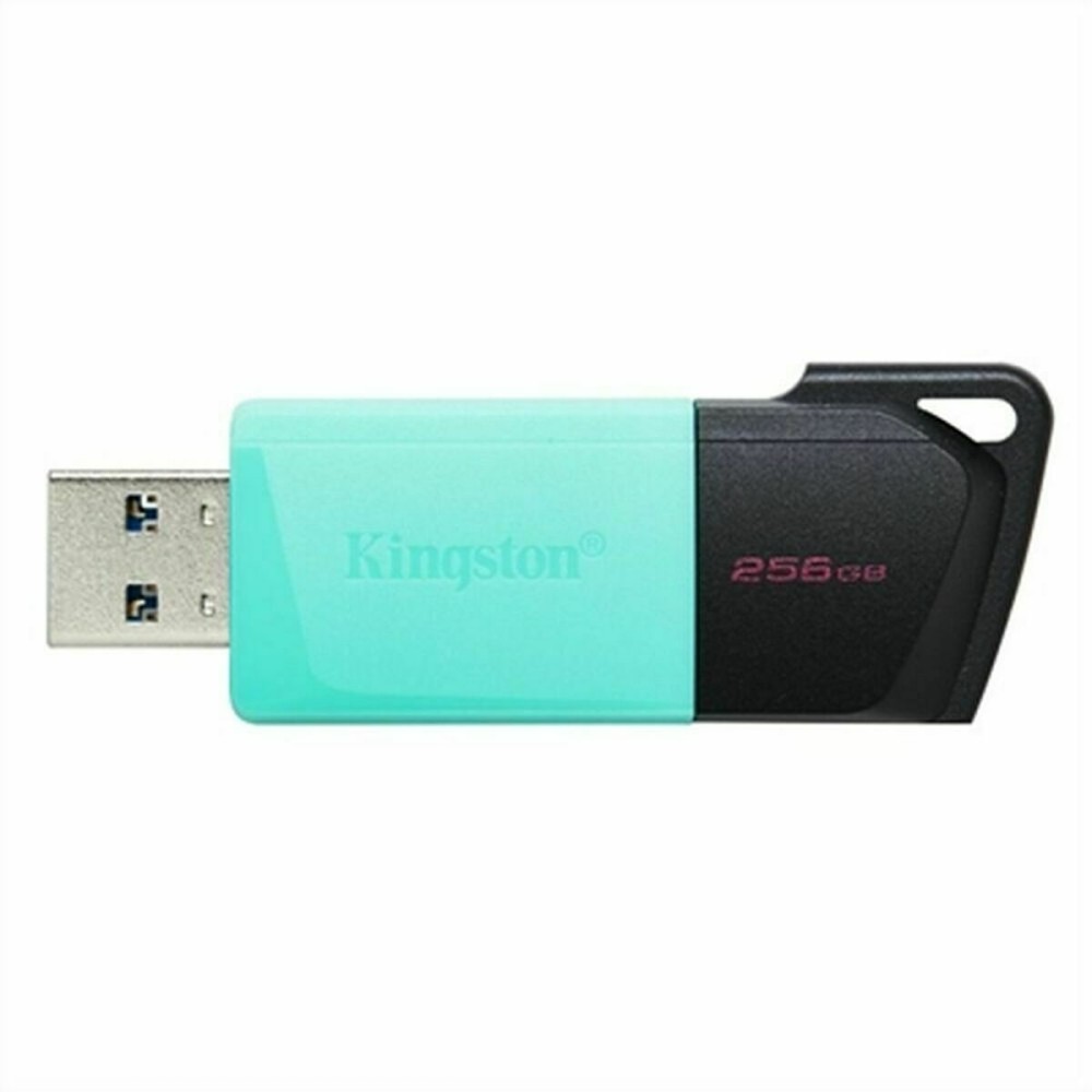 Στικάκι USB Kingston Exodia M Μαύρο 256 GB