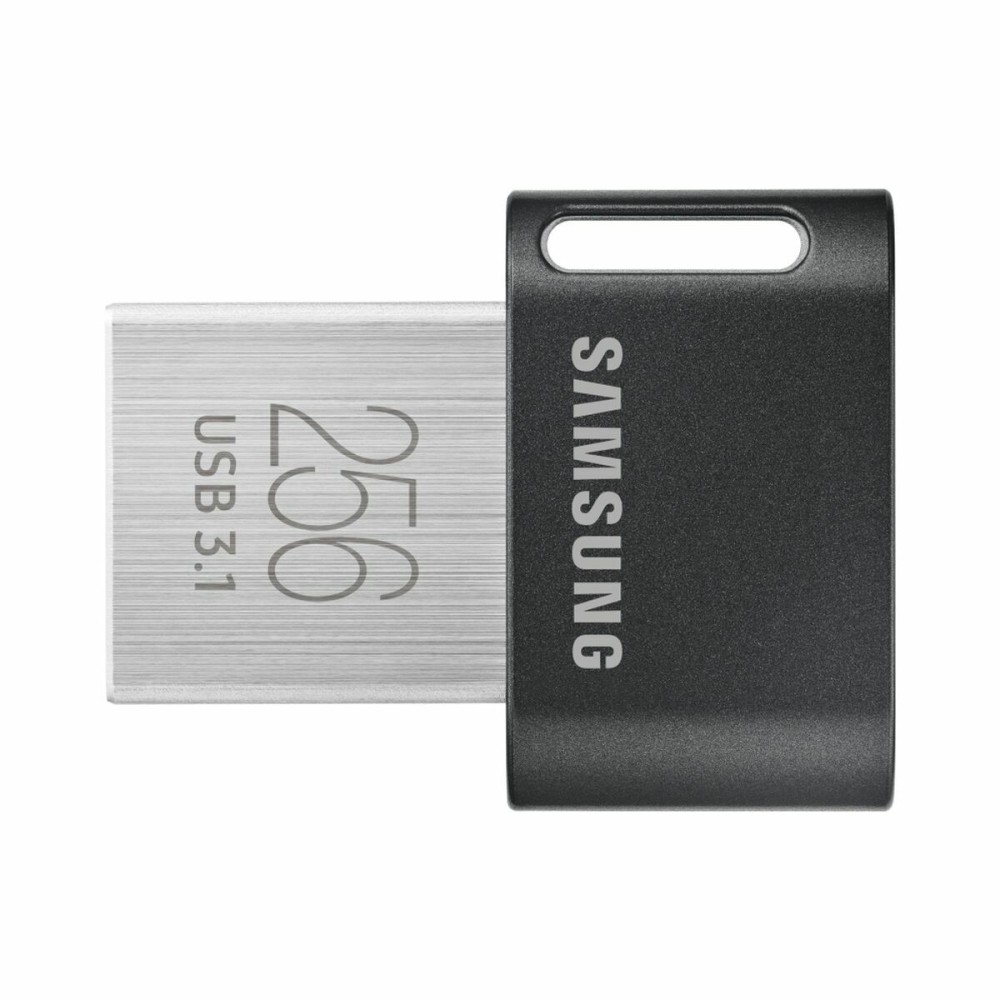 Στικάκι USB Samsung MUF-256AB/APC Ασημί 256 GB