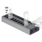DELOCK USB hub 63670 με διακόπτες, 10x θυρών, 5Gbps, γκρι