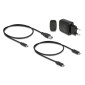 DELOCK docking station για M.2 NVMe SSD 64177, 2 θέσεων, 10Gbps, clone function, μαύρο
