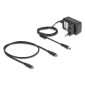 DELOCK docking station για M.2 NVMe SSD 64300, 2 θέσεων, 20Gbps, clone/erase function, μαύρο