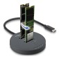 DELOCK docking station για M.2 NVMe PCIe SSD 64364, 2 θέσεων, 20Gbps, clone function, μαύρο