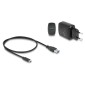 DELOCK docking station για M.2 NVMe PCIe SSD 64364, 2 θέσεων, 20Gbps, clone function, μαύρο