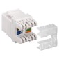 GOOBAY Keystone module RJ45 CAT 6 95740, UTP, 250MHz, λευκό