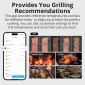 SONOFF smart θερμόμετρο barbeque BMT01 με 2x αισθητήρες, έως 300 °C, μαύρο
