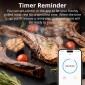 SONOFF smart θερμόμετρο barbeque BMT01 με 2x αισθητήρες, έως 300 °C, μαύρο