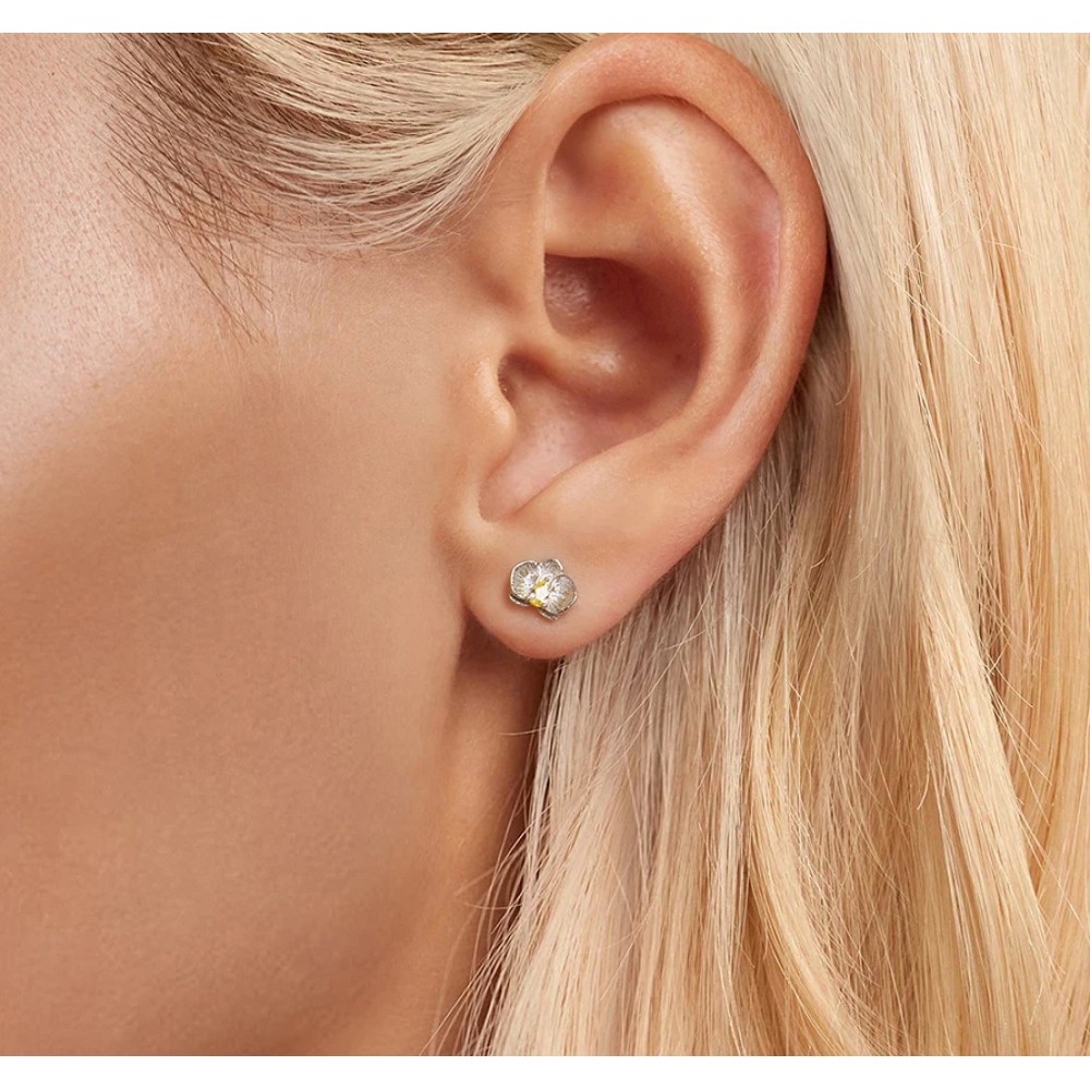 BAMOER σκουλαρίκια καρφωτά BSE1170 με κυβική ζιρκόνια, ασήμι 925, ασήμι