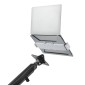 BRATECK Βάση laptop NBH-6E για βάση οθονών, VESA 75x75, 11.6-17.3", γκρι