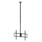 BRATECK βάση τηλεόρασης οροφής PLB-CE1568XL, 50-100", έως 80kg, heavy duty