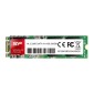 SILICON POWER SSD A55, 256GB, M.2 2280, SATA III, 560-530MB/s