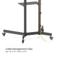 BRATECK βάση τηλεόρασης δαπέδου T1042T, 37-70", έως 45kg, με ράφια & ροδάκια