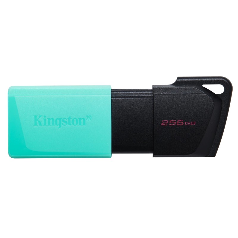 MEMORY DRIVE FLASH USB3.2/256GB DTXM/256GB KINGSTON