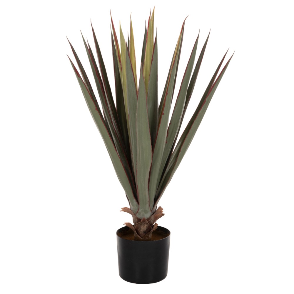 ΔΙΑΚΟΣΜΗΤΙΚΟ ΣΥΝΘΕΤΙΚΟ ΦΥΤΟ HM7985 SISAL AGAVE ΣΕ ΓΛΑΣΤΡΑ  Φ13,5x13-76Υεκ.