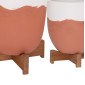 ΓΛΑΣΤΡΕΣ ΣΕΤ 2ΤΜΧ SEON HM4686.08 TERRACOTTA ΣΕ ΛΕΥΚΟ & ΤΕΡΑΚΟΤΑ--TEAK ΒΑΣΗ