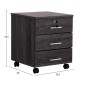 ΣΥΡΤΑΡΙΕΡΑ ΓΡΑΦΕΙΟΥ HAYDEN HM2282.01 ΣΕ ΑΝΘΡΑΚΙ ΧΡΩΜΑ 39x39,5x46,5