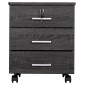 ΣΥΡΤΑΡΙΕΡΑ ΓΡΑΦΕΙΟΥ HAYDEN HM2282.01 ΣΕ ΑΝΘΡΑΚΙ ΧΡΩΜΑ 39x39,5x46,5
