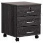 ΣΥΡΤΑΡΙΕΡΑ ΓΡΑΦΕΙΟΥ HAYDEN HM2282.01 ΣΕ ΑΝΘΡΑΚΙ ΧΡΩΜΑ 39x39,5x46,5