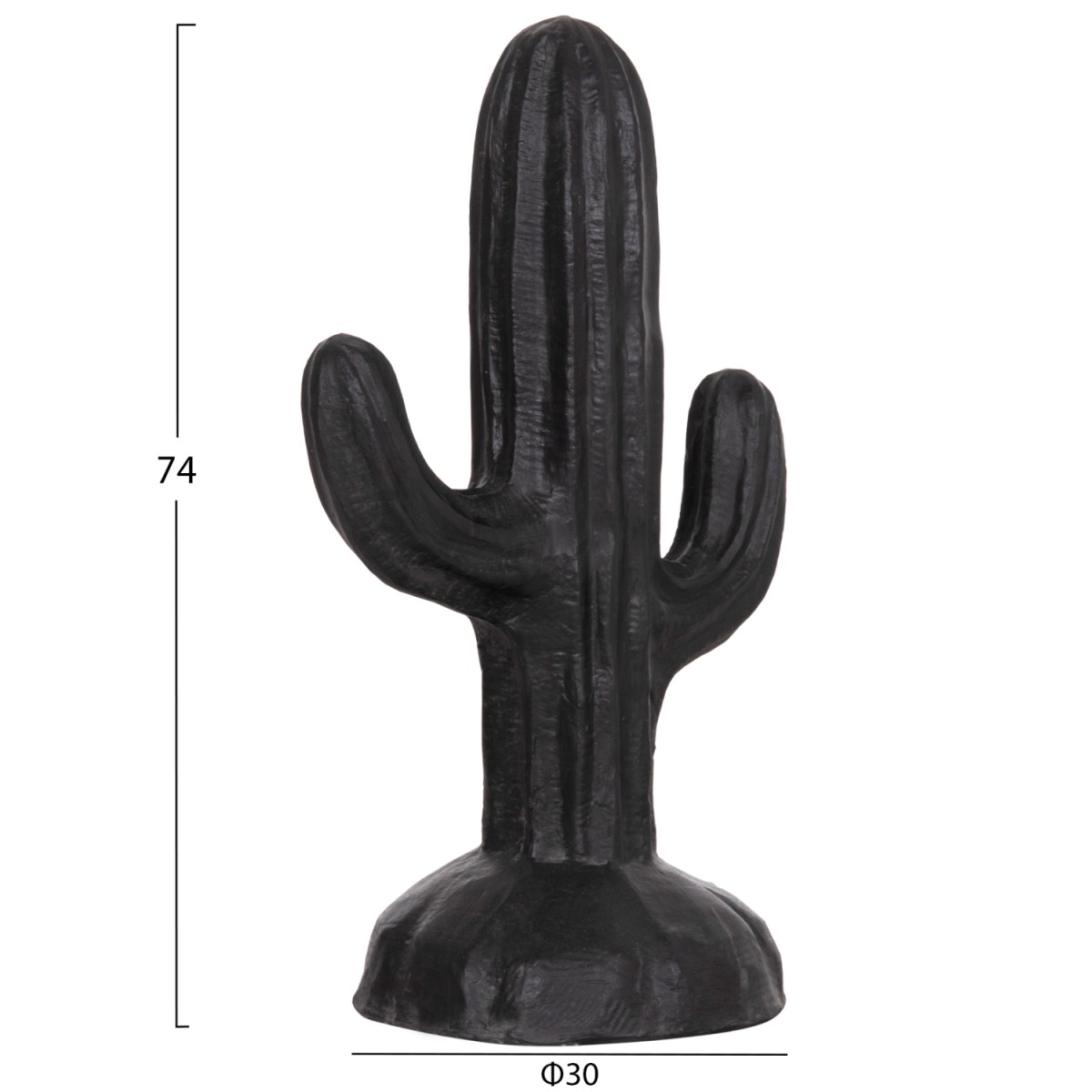 ΔΙΑΚΟΣΜΗΤΙΚΟΣ ΚΑΚΤΟΣ ΔΑΠΕΔΟΥ CACTUS HM4386.01S ΓΥΨΟΣ ΣΕ ΜΑΥΡΟ 42x30x74Υεκ.