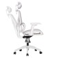 ΚΑΡΕΚΛΑ ΓΡΑΦΕΙΟΥ APEX HM1227.02 ΛΕΥΚΟ PP--ΑΝΟΙΧΤΟ ΓΚΡΙ MESH 70x66x113-130Υεκ