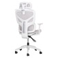ΚΑΡΕΚΛΑ ΓΡΑΦΕΙΟΥ APEX HM1227.02 ΛΕΥΚΟ PP--ΑΝΟΙΧΤΟ ΓΚΡΙ MESH 70x66x113-130Υεκ