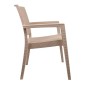 Πολυθρόνα βαρέους τύπου ZEUS απο PP σε χρώμα cappucino 58x57x89