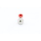 STEAM - Solenoid Valve Fitting