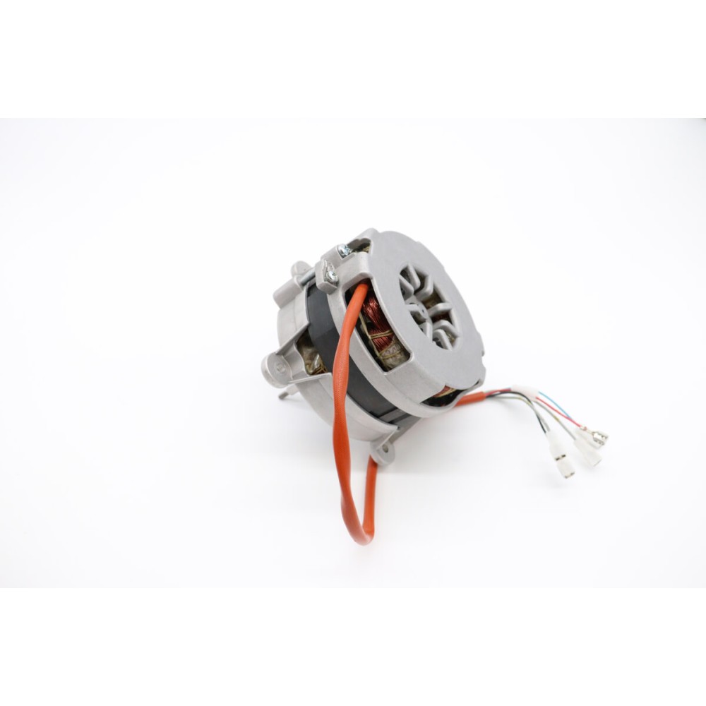 Motor With Reverse 1 Ph 230V 50/60Hz