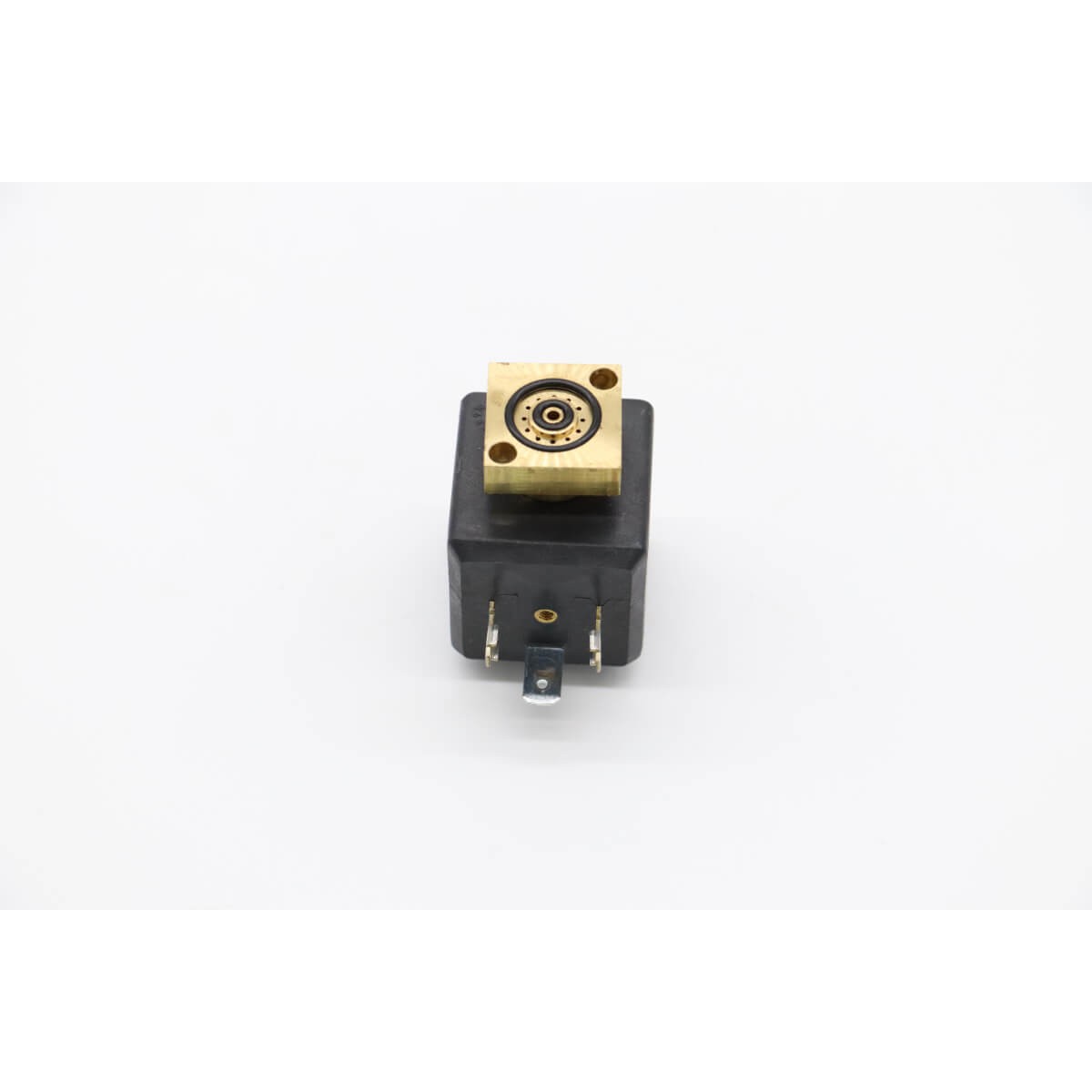 Electrov.Base Plate Parker 200V + Gasket