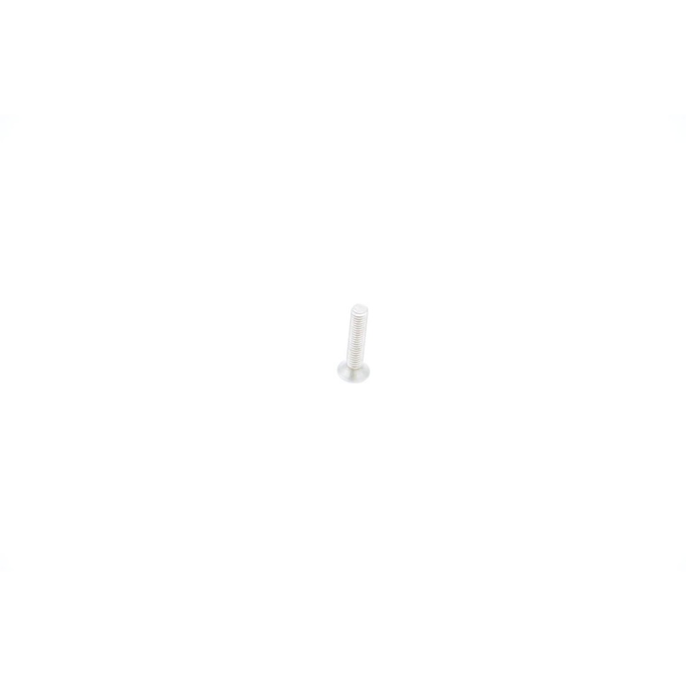 VN(G) - Stainless Steel Screw M4x20