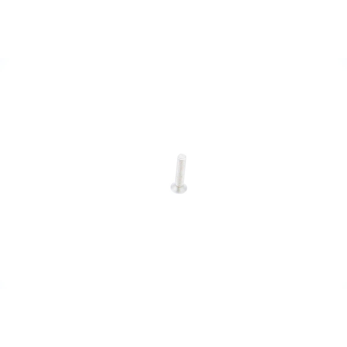 VN(G) - Stainless Steel Screw M4x20