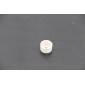 VN(G) - White Cap For Magnet