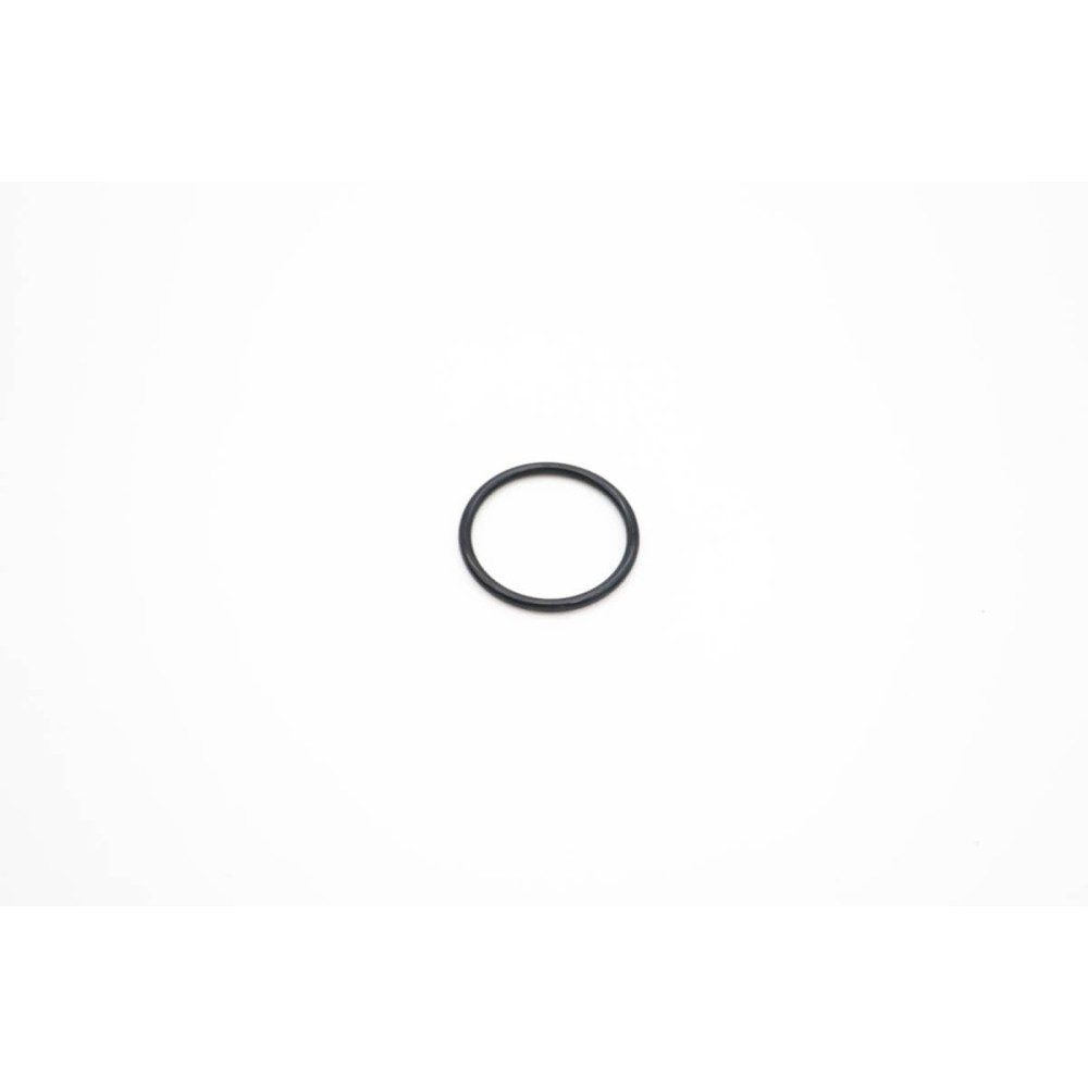 VN500/2000 - O-Ring 3.55 X 38.7