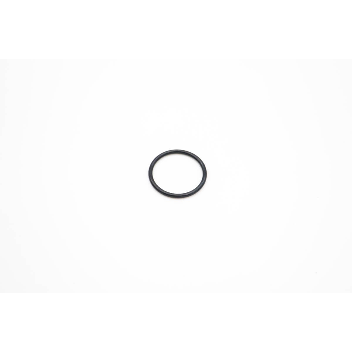 VN500/2000 - O-Ring 3.55 X 38.7