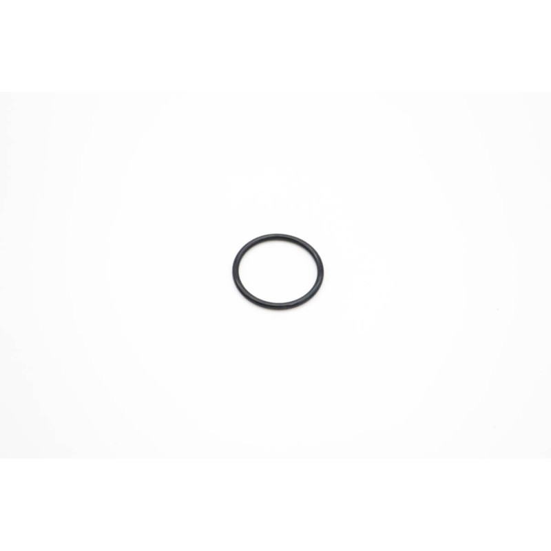 VN500/2000 - O-Ring 3.55 X 38.7