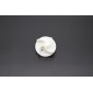 ID400 - Electro Pump Impeller