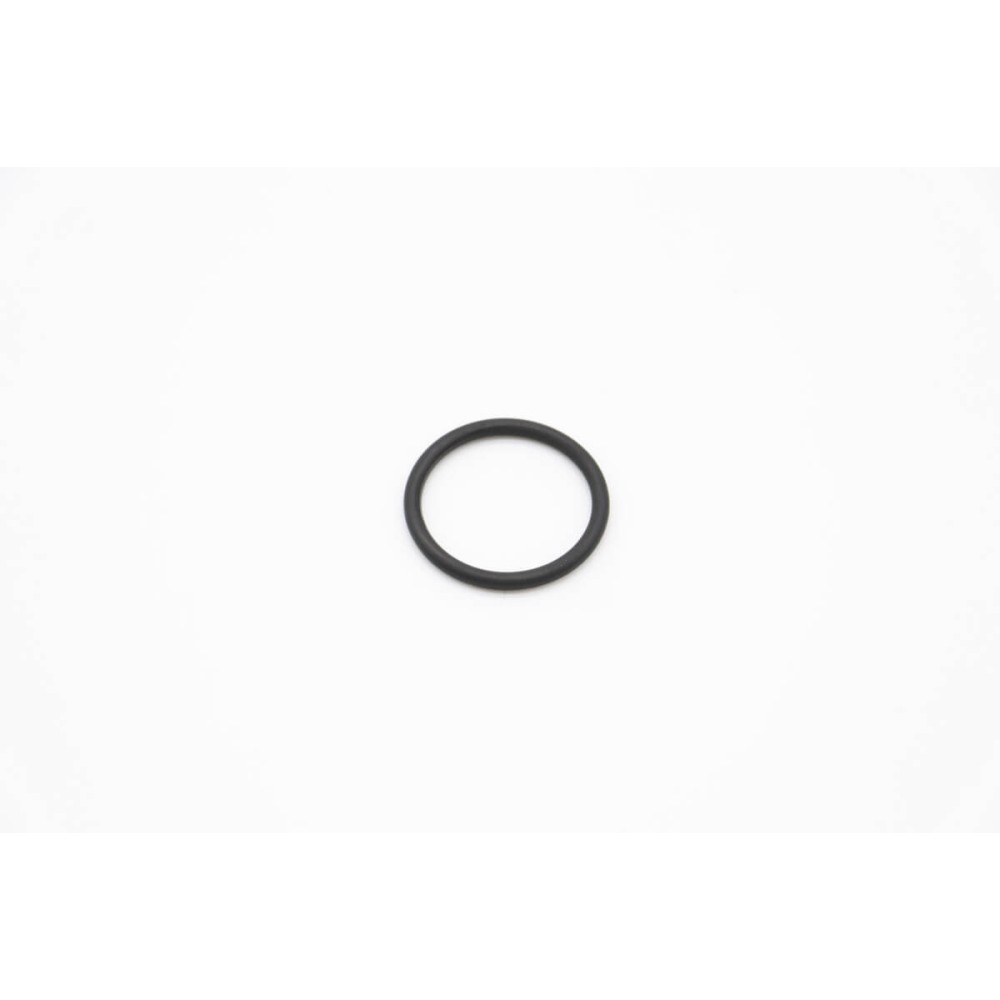 DW - O-Ring 4131