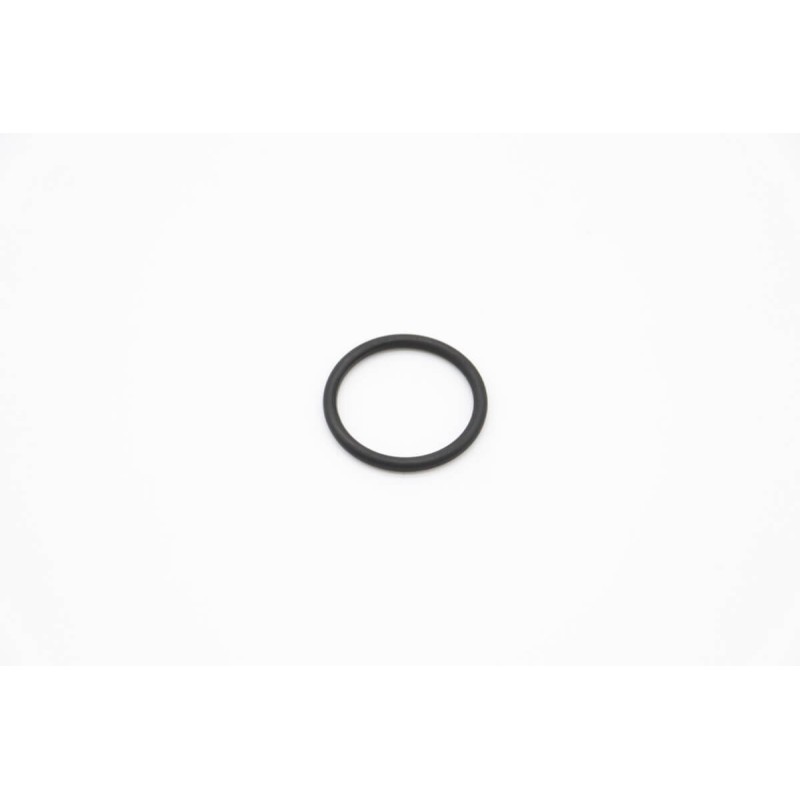 DW - O-Ring 4131