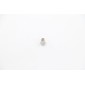 MS220/250 - Screw For Plastic Cover #56