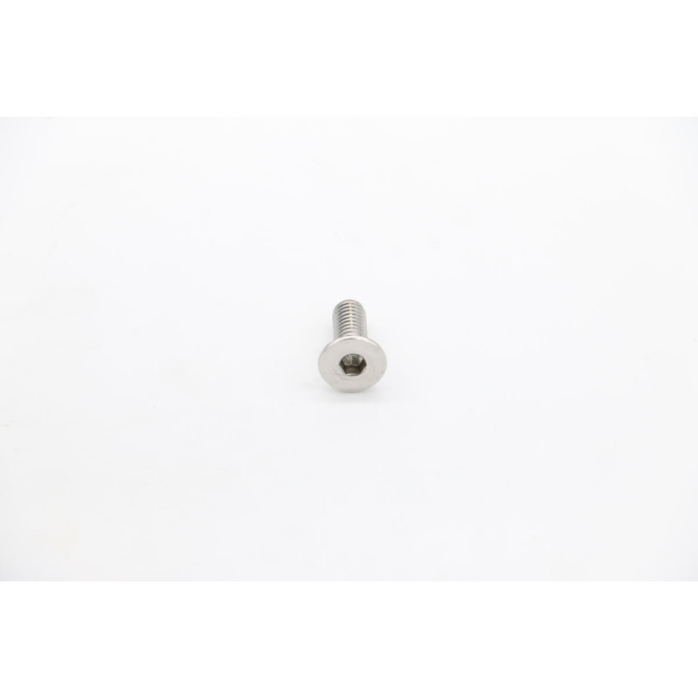 MS220/250/300 - Screw For Blade #3