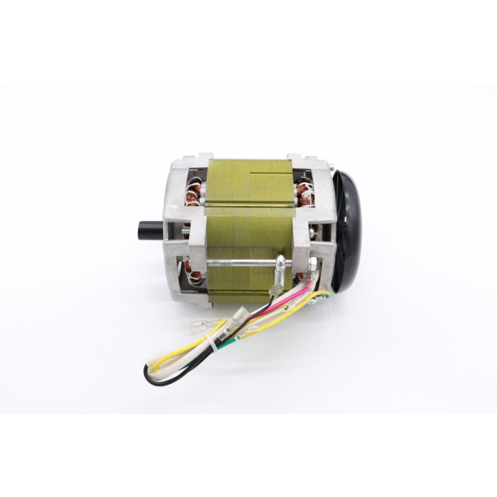 MS300 - Motor #58