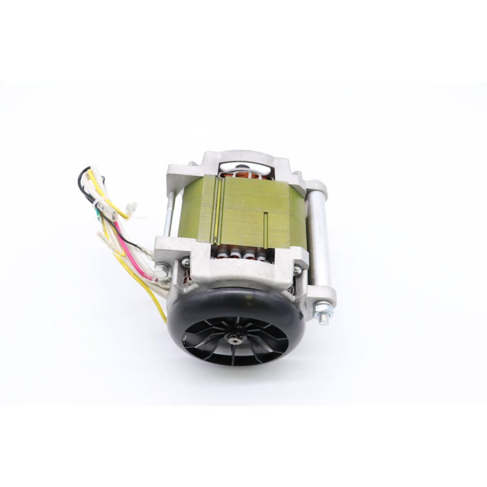MS300 - Motor #58