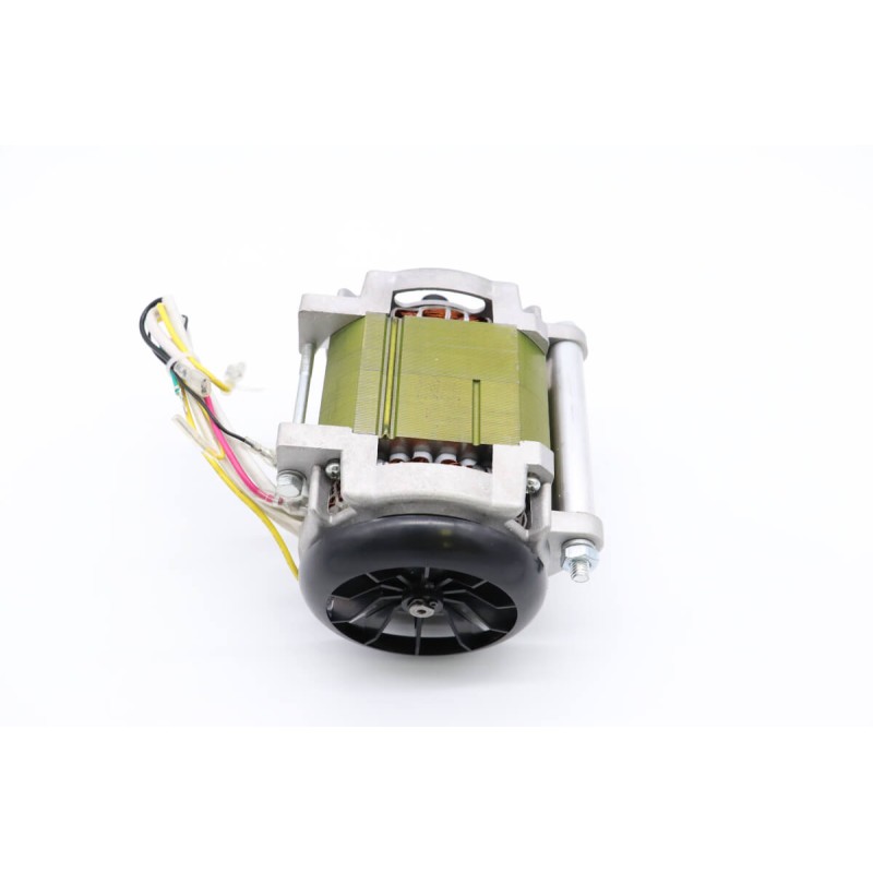 MS300 - Motor #58