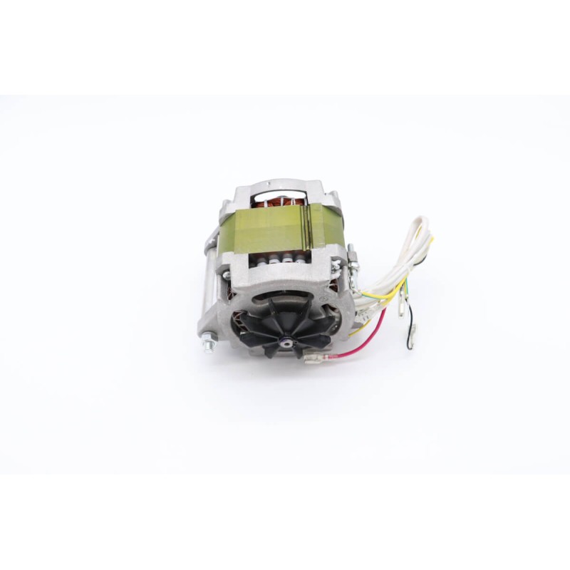 MS220 - Motor #58
