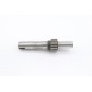 DPM20/30 - Gear Shaft (<2020)