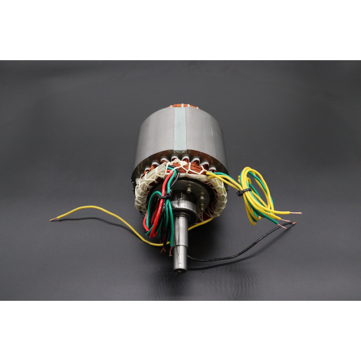 MPM10 - Motor (230V)