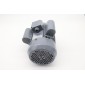 DPP15 - Motor #15