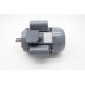 DPP15 - Motor #15