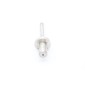 DPP15 - Spindle #28