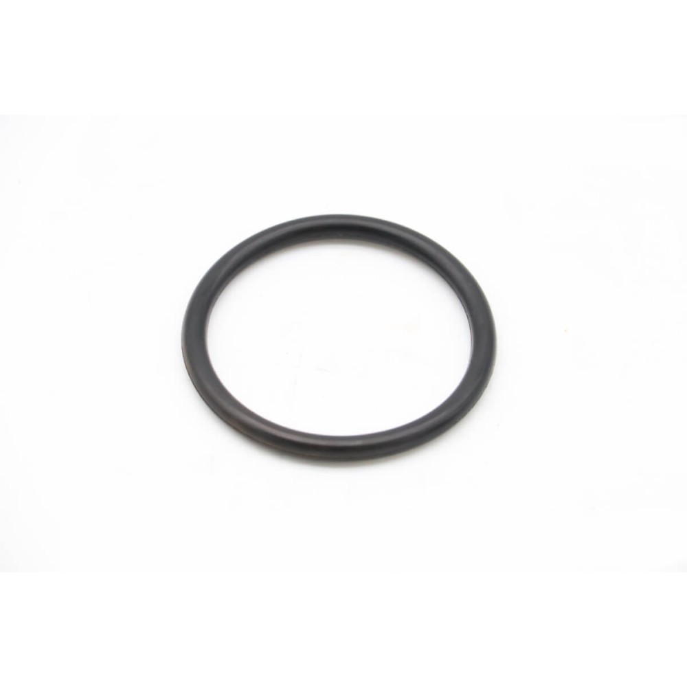 DPP15/20 - Sealing Ring #31