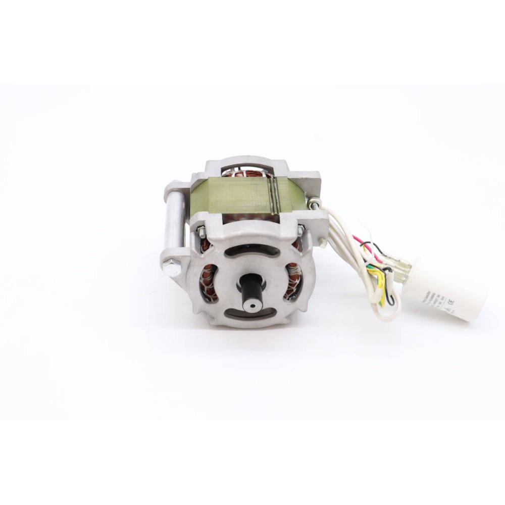 MS250 - Motor #58